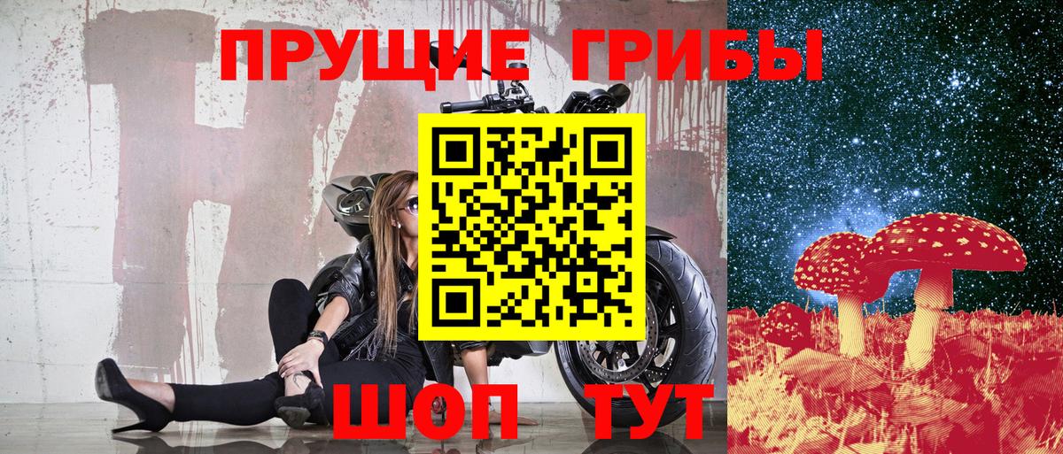 Каспийск  Галлюциногенные грибы мухоморы  Вход с VPN  Псилоцибиновые грибы Psilocybe 